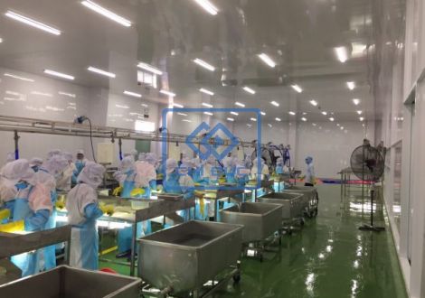 Chí Đức - Chuyên thi công trần vách nhựa sạch cho nhà máy thực phẩm